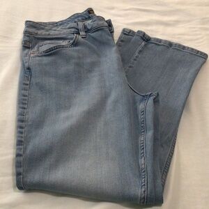 NWOT Lee Petite Regular Fit Straight Leg Mid Rise Women’s Jeans